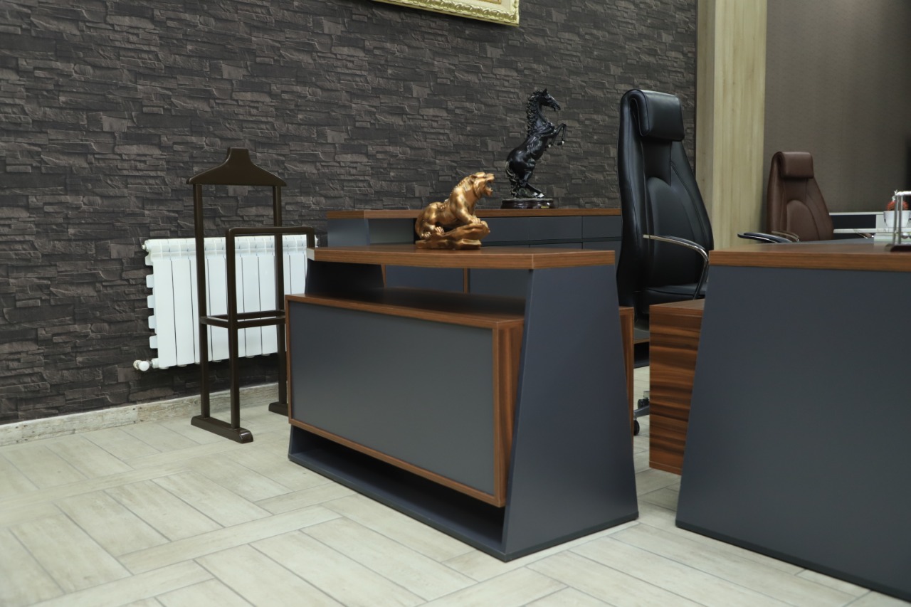Bosfor director furniture